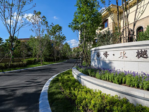 伟峰东樾 